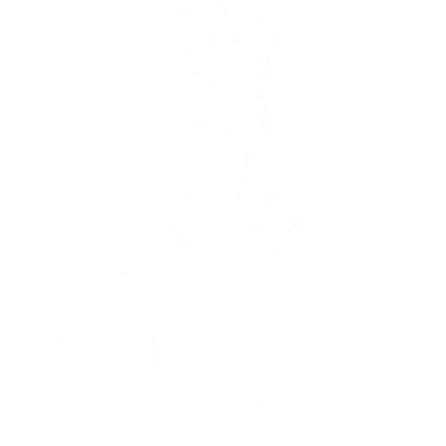 Pro Loco Palestrina