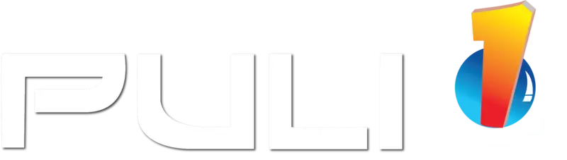 PuliONE